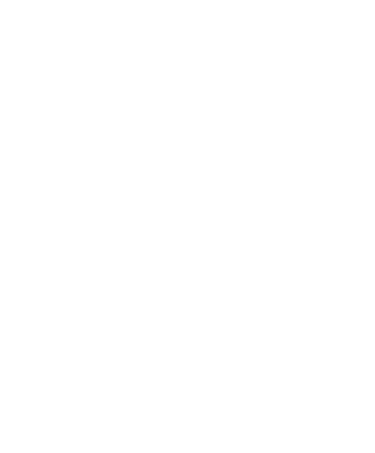 Paardje1 wit